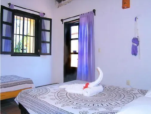 La Rana Cansada Hotel Playa del Carmen Mexico