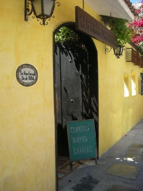 La Rana Cansada Hotel Playa del Carmen