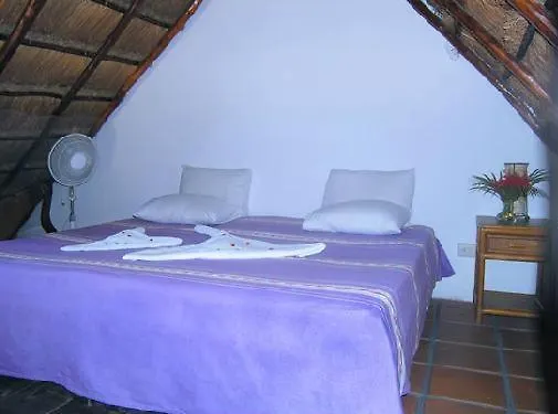 La Rana Cansada Hotel Playa del Carmen 3*,  Mexico